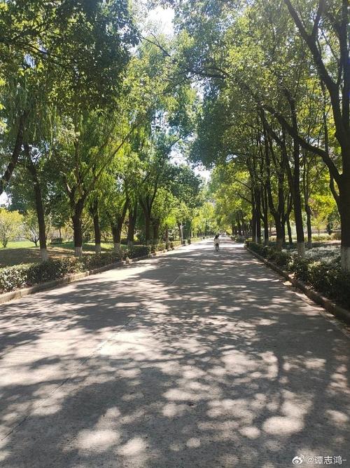 武汉科技大学##军训##文都考研##文都校园大使##文都